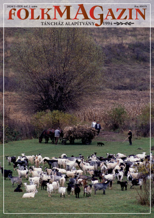 Cover of Javaslat a vajdasági Tisza mente tradicionális férfi viseletének színpadi megjelenítéséhez